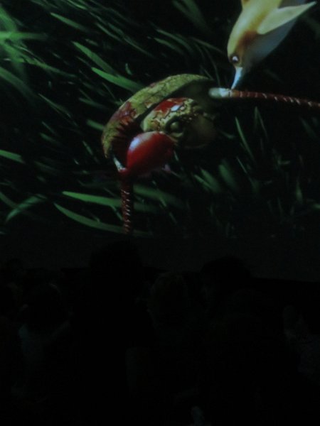 IMG 8571