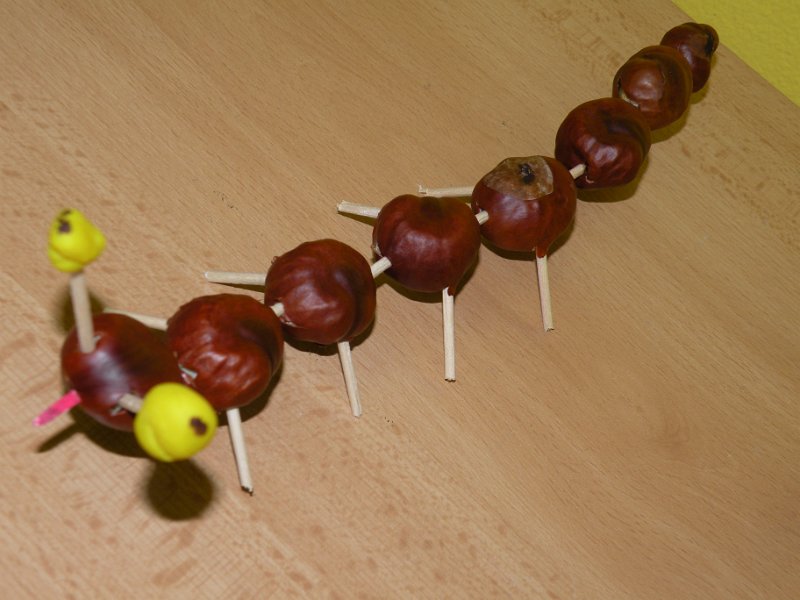 DSCN0634