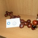 DSCN0722
