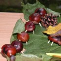 DSCN0658