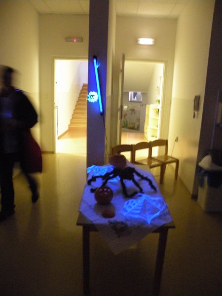 DSCN0803