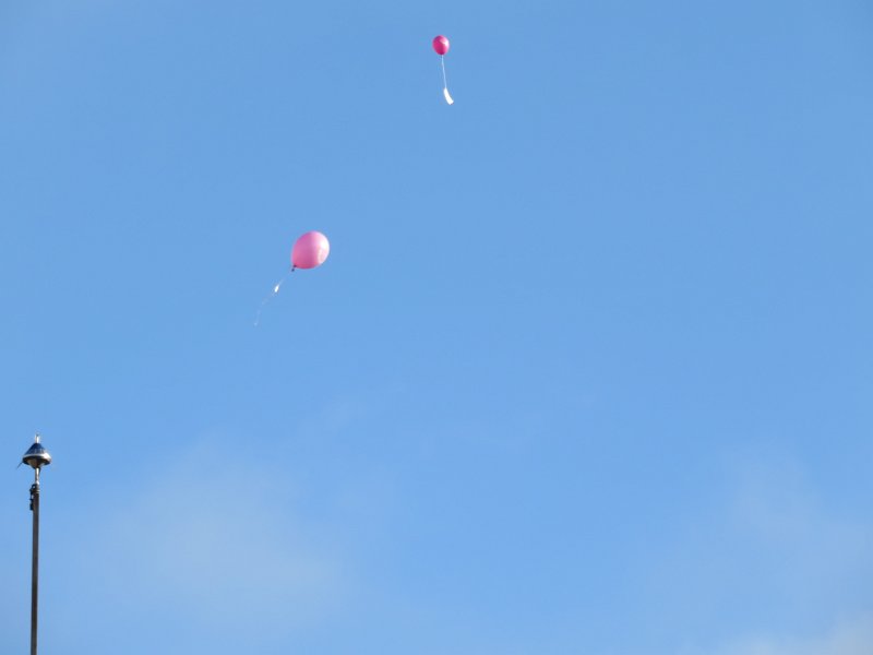 IMG 9290