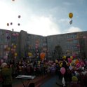 DSCN8229