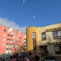 IMG 9288