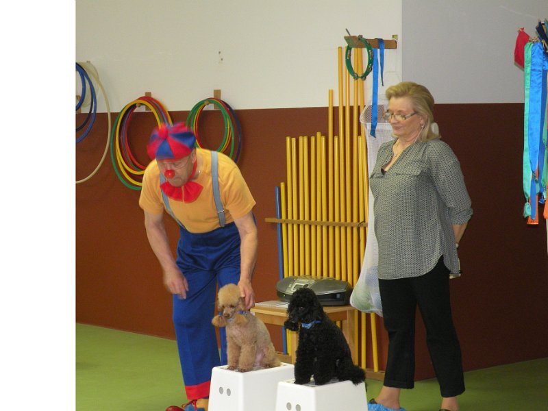 DSCN8414