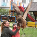 DSCN9288