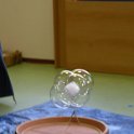 DSCN0535